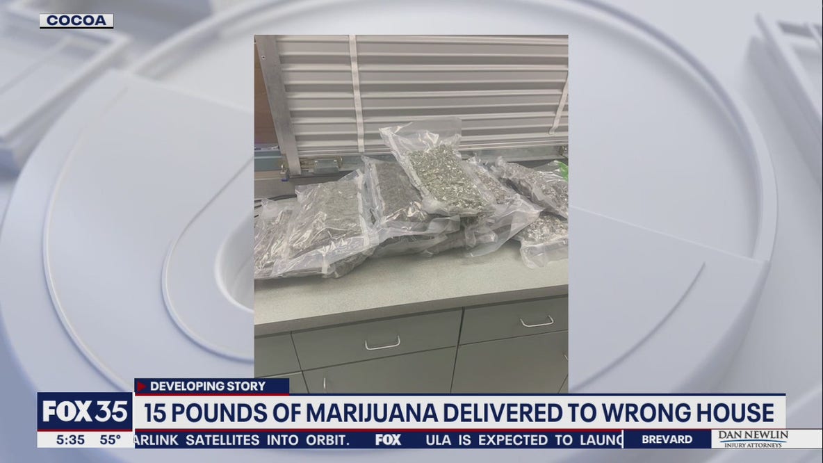 Cocoa police offer return of 'misplaced' 15 pounds of marijuana